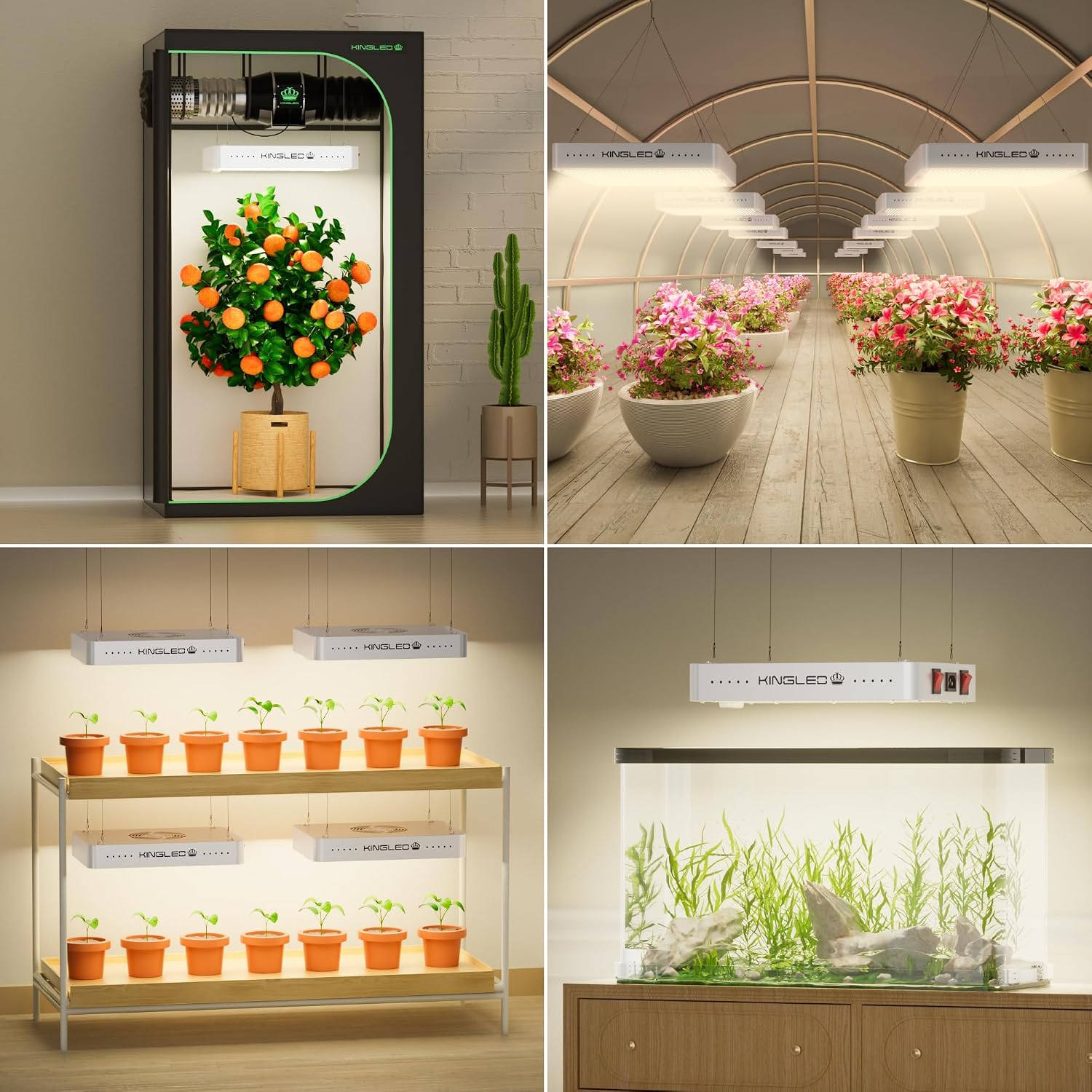 KingLED KP2000 Grow Light for Indoor Plants. Full Spectrum Plant Grow Light | 200W Dimmable LED Growing Light with Veg & Bloom Mode. High PPFD Plant Lamp for Indoor Seed Starting. Fits 3x3/3x4 Grow Tent