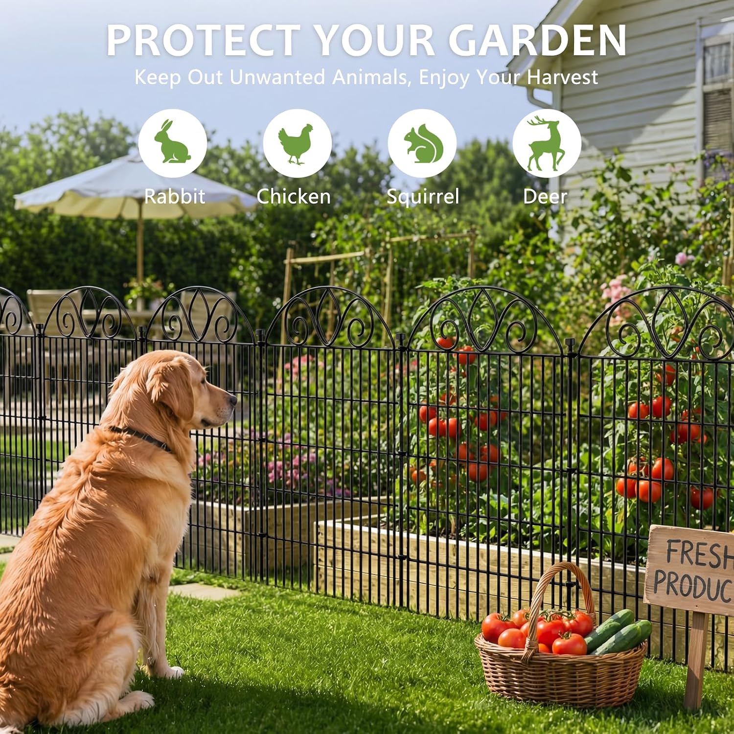 No Dig Garden Fence Outdoor for Yard. 10 Panels with Gate | 44in(H) x23.6ft(L) Rustproof Metal Animal Barrier. Temporary Dog Fence. Decorative Fencing for Flower Bed. Patio. and Pet