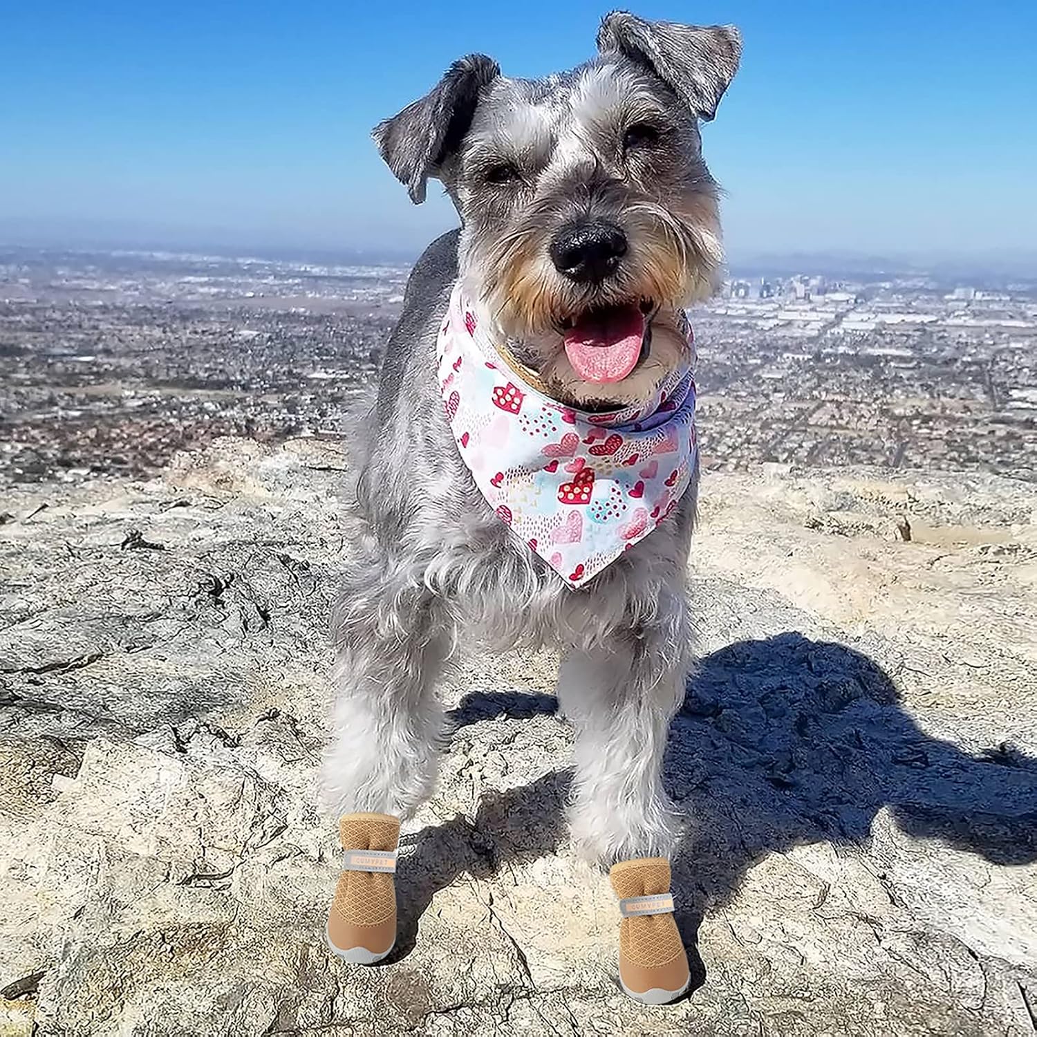 QUMY Dog Shoes for Small Dogs Hot Pavement Puppy Dog Boots & Paw Protectors | Small Medium Dog Summer Shoes. Soft Anti-Slip Rubber Sole. Mesh Breathable Dog Booties for Hardfloors. Walking Running Khaki