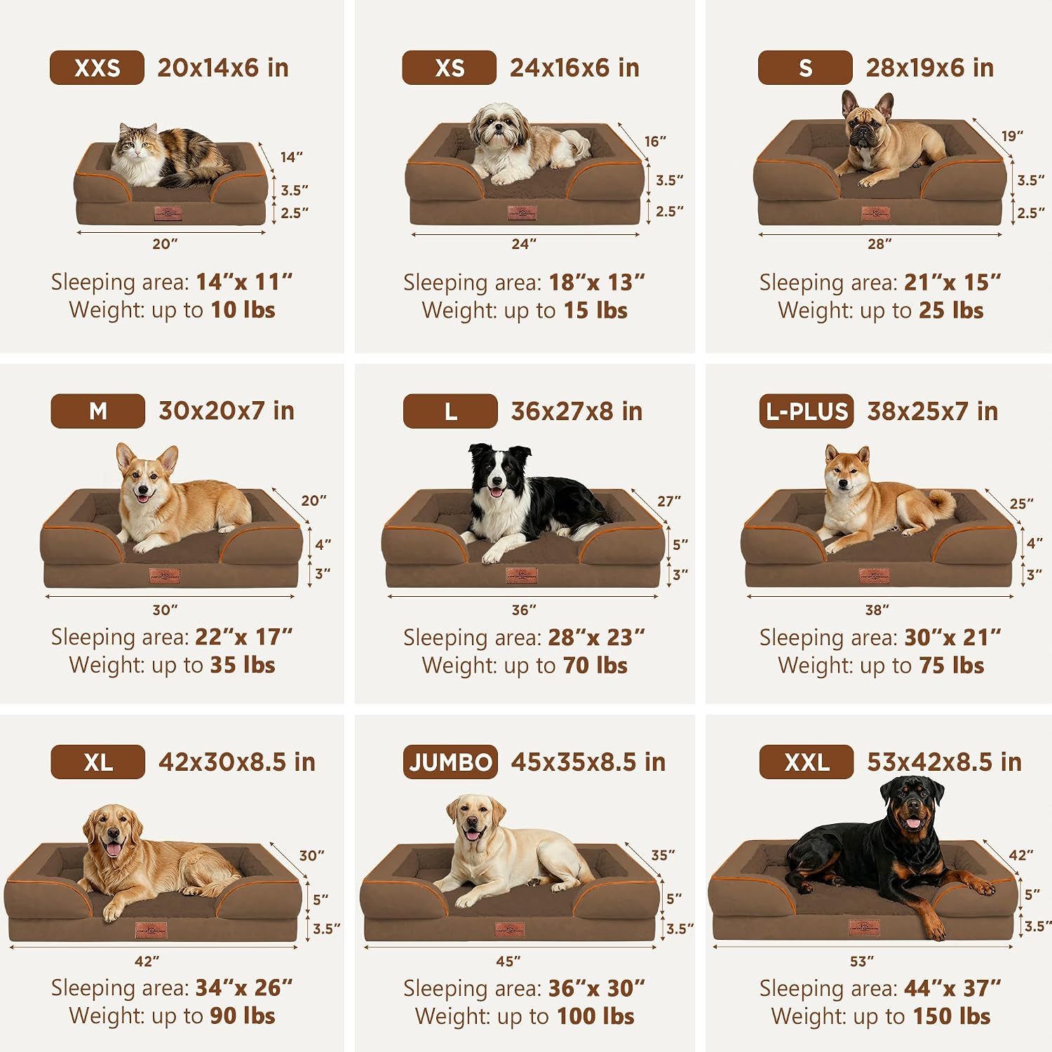 Comfort Expression Waterproof Orthopedic Dog Bed for Medium Size Dog | Supportive Egg Crate Foam Medium Pet Bed with Removable Bolster. Dog Couch with Washable Cover & Non-Slip Bottom. 28x19 Inch