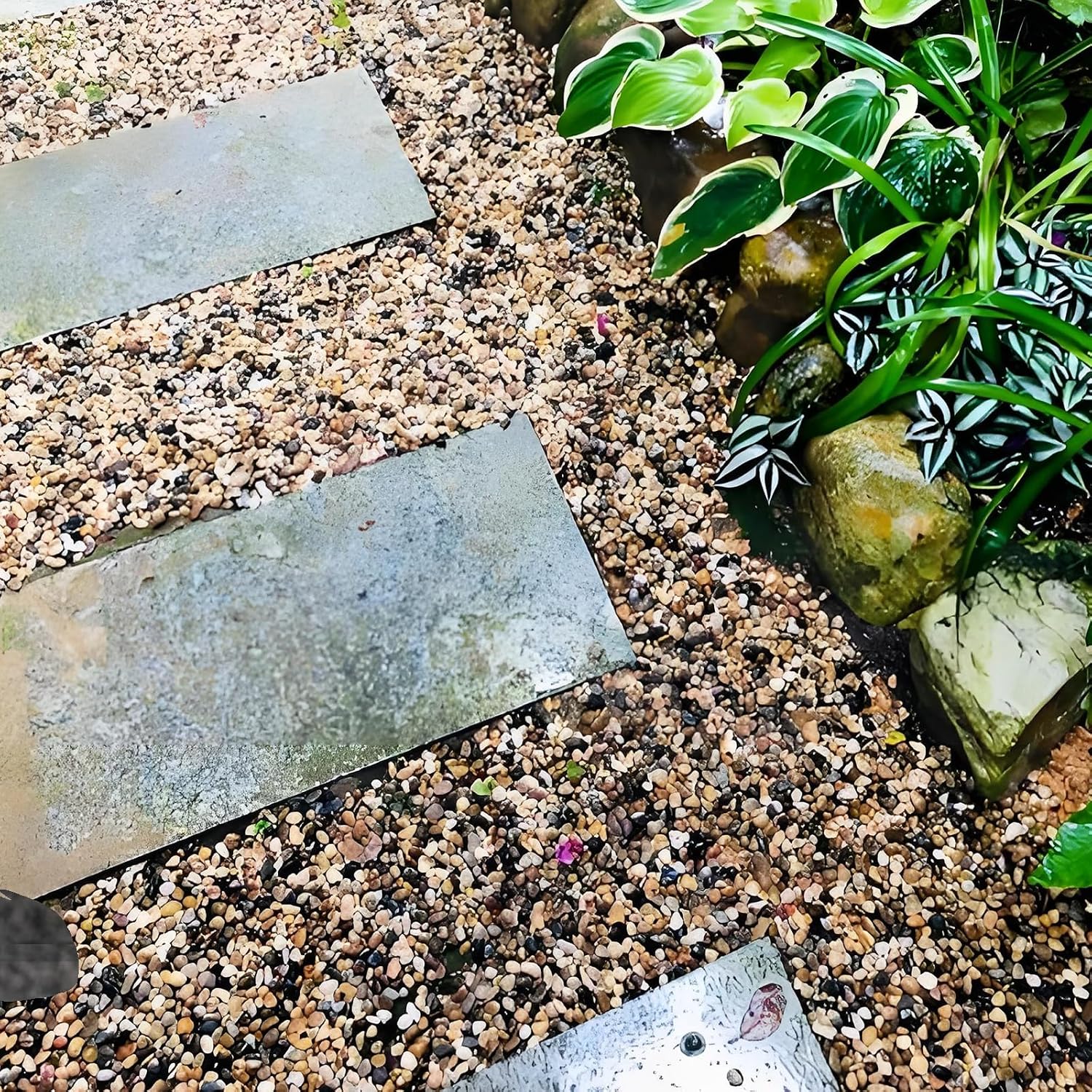 FANTIAN 40 lbs Aquarium Gravel. 1/4 Inch Fish Tank Pea Gravel | Gravel for Landscaping. Decorative River Rocks Stone for Freshwater Tanks. Outdoor Pond. Garden. Terrarium. Drainage