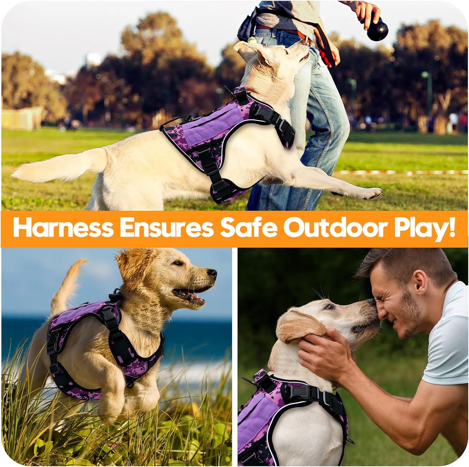 Heavy-Duty Tactical Dog Harness for Large Dogs. No Pull Adjustable Reflective Pet Vest with Molle System. K9 Military-Grade Control for Service Training. Outdoor & 10+ Breeds. Purple Camo. X-Large