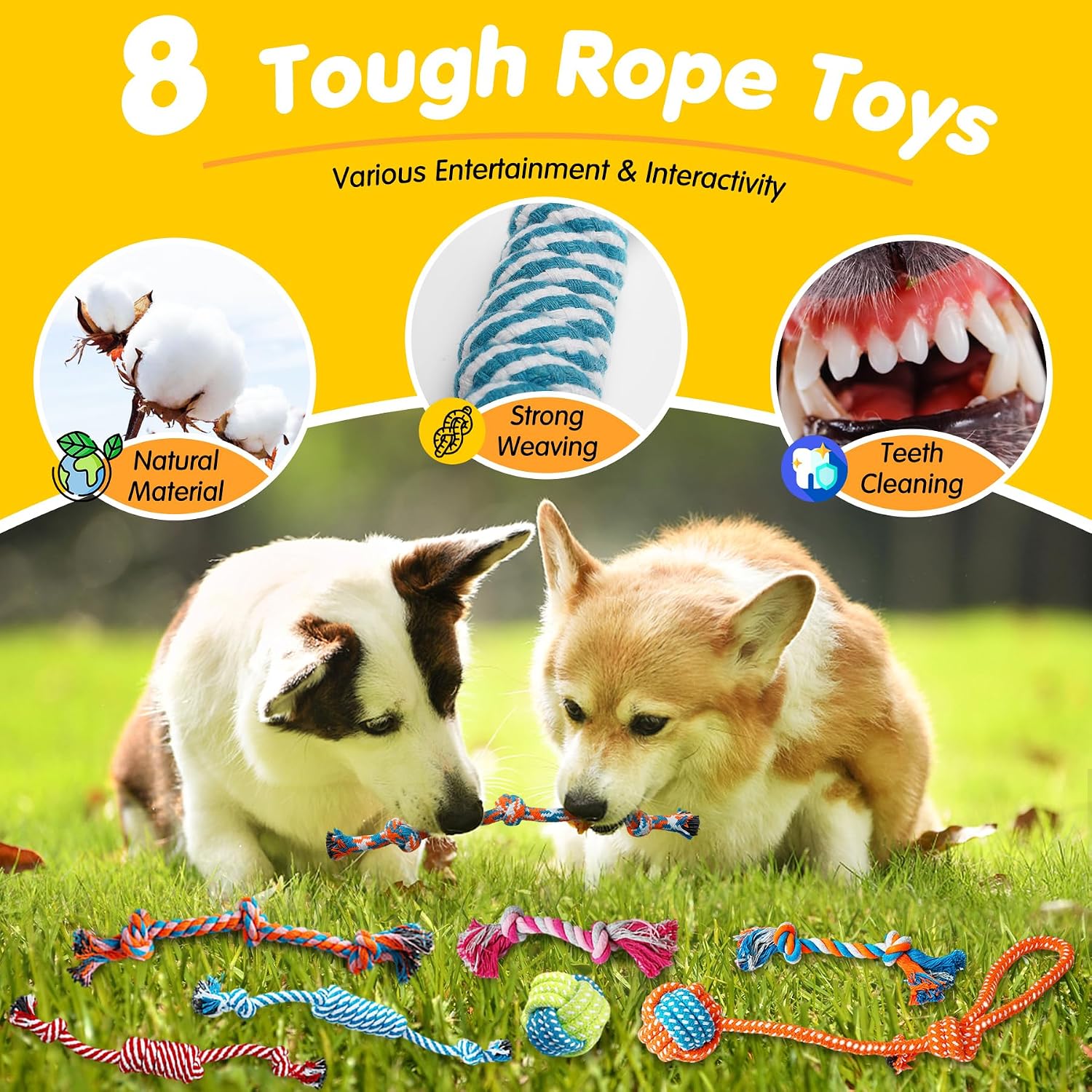 Zeaxuie 25 Pack Luxury Dog Chew Toys for Puppy. Dog Toys with Ropes. Treat Ball and Squeaky Puppy Toys for Teething Small Dogs