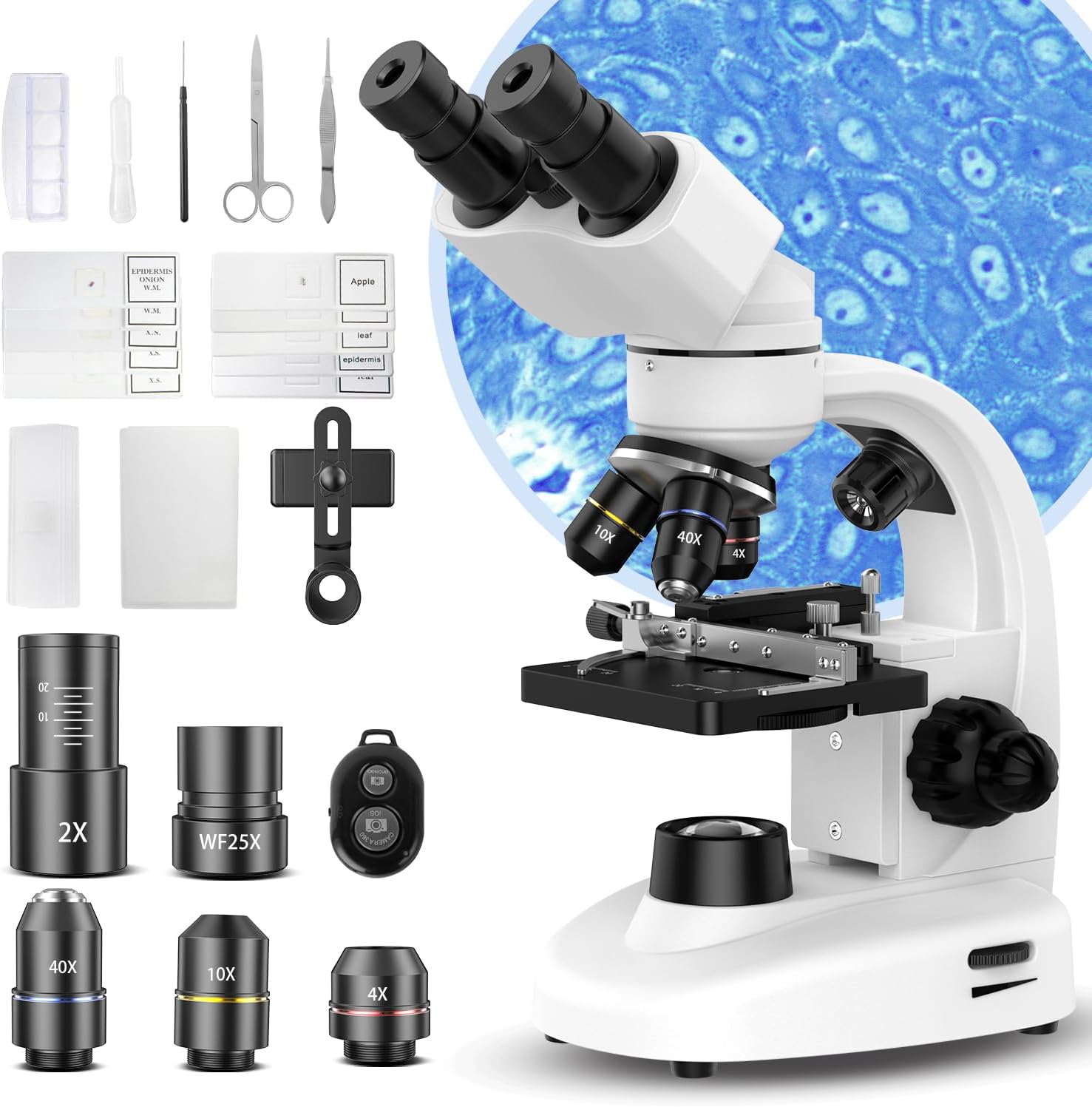 PalliPartners Compound Binocular Microscope for Adults. Professionals&Kids