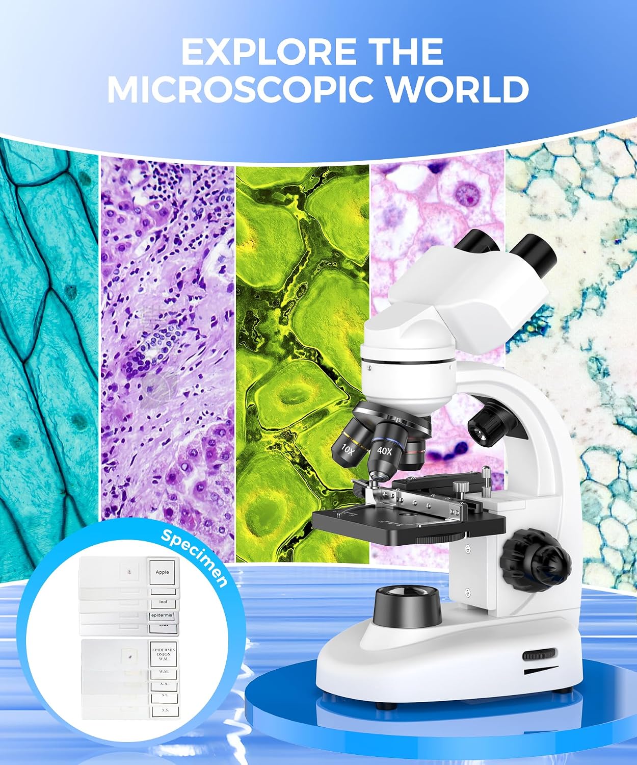 PalliPartners Compound Binocular Microscope for Adults. Professionals&Kids