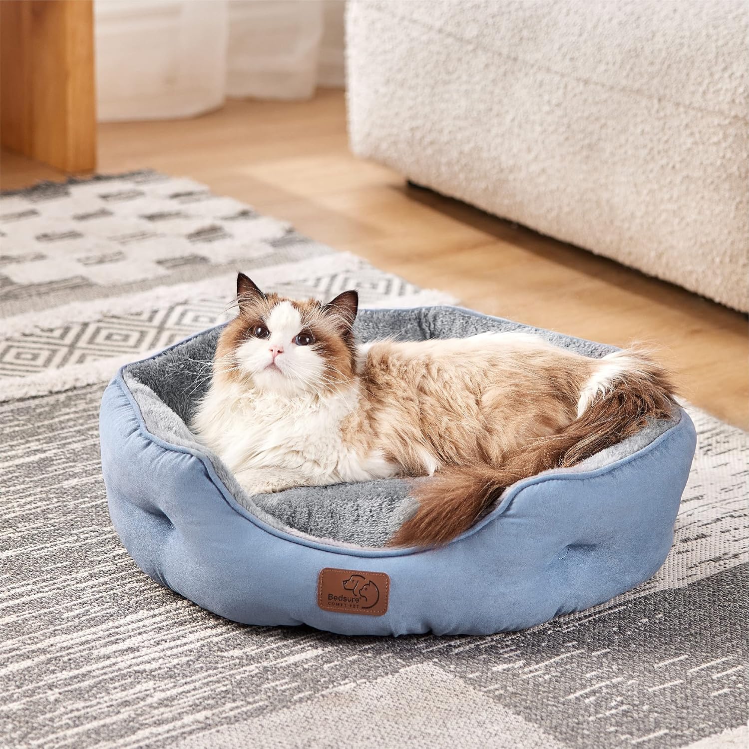 Bedsure Small Dog Bed Washable.Round Cat Beds for Indoor Cats.20in | Frost Blue Soft Plush Pet Bed.Dog Beds for Small Dogs for Puppy and Kittens.Anti-Slip Bottom.Easy to Clean