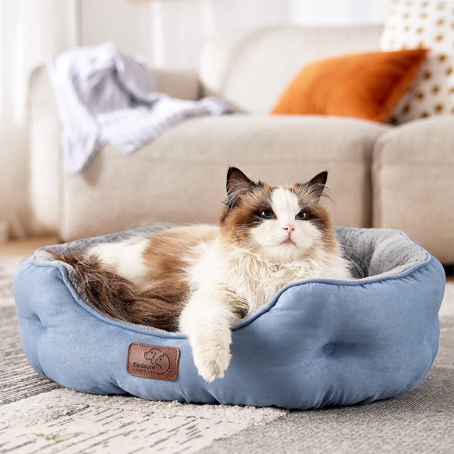 Bedsure Small Dog Bed Washable.Round Cat Beds for Indoor Cats.20in | Frost Blue Soft Plush Pet Bed.Dog Beds for Small Dogs for Puppy and Kittens.Anti-Slip Bottom.Easy to Clean